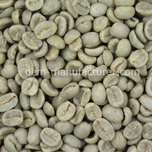 prebroasted green coffee